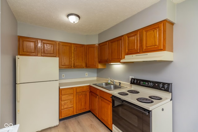 951 W Mckay Rd, Shelbyville, IN 46176 - kitchen featuring white appliances, under cabinet range hood, light countertops, light wood-style floors, and brown cabinetry