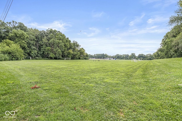 7689 Harbour, Indianapolis, IN 46240 - photo 31