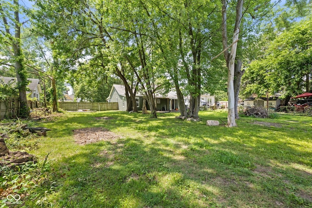 761 N Holmes Ave, Indianapolis, IN 46222 - view of yard