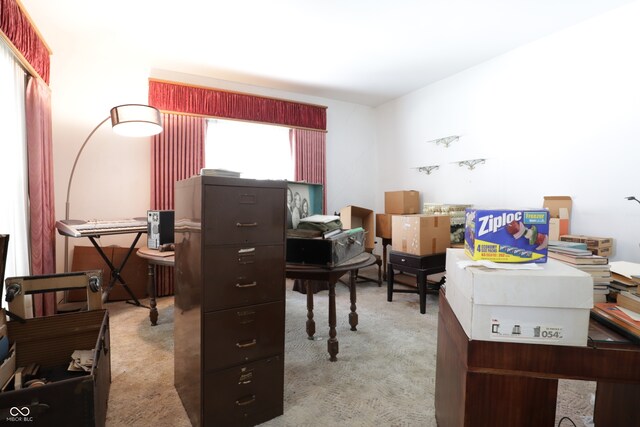 633 N E St, Greenfield, IN 46140 - view of carpeted home office