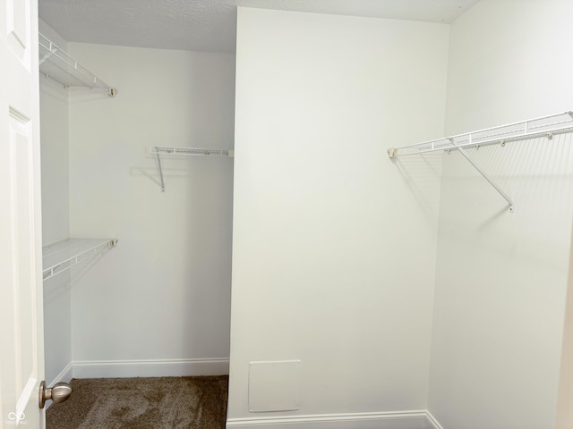2444 Cole Branch Ct, Indianapolis, IN 46239 - spacious closet featuring carpet floors