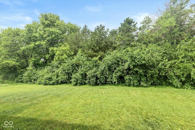 1338 Delacorte Cir, Shelbyville, IN 46176 - photo 23