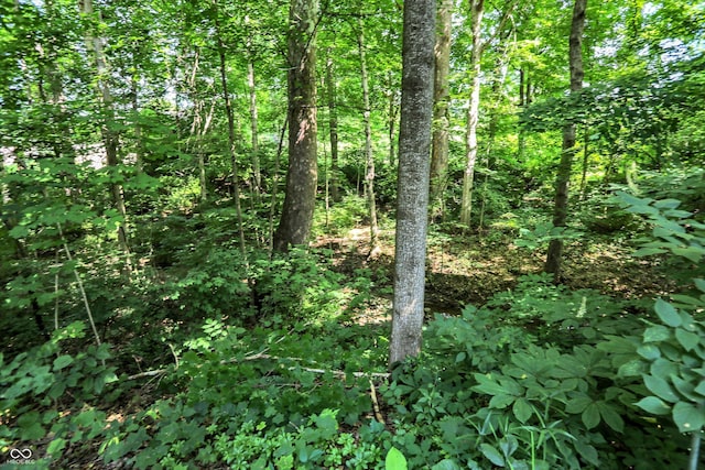 944 Briar Patch Ln, Greenwood, IN 46142 - view of woods