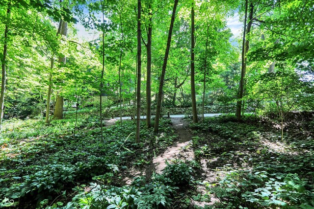 944 Briar Patch Ln, Greenwood, IN 46142 - view of wooded area