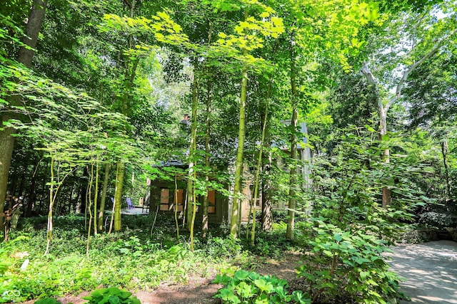944 Briar Patch Ln, Greenwood, IN 46142 - view of local wilderness