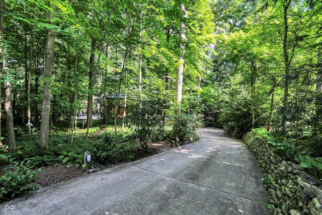 944 Briar Patch Ln, Greenwood, IN 46142 - view of street featuring a view of trees