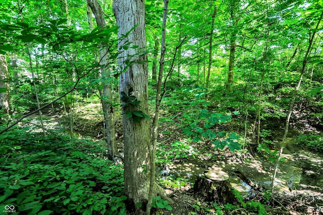 944 Briar Patch Ln, Greenwood, IN 46142 - view of tree filled area