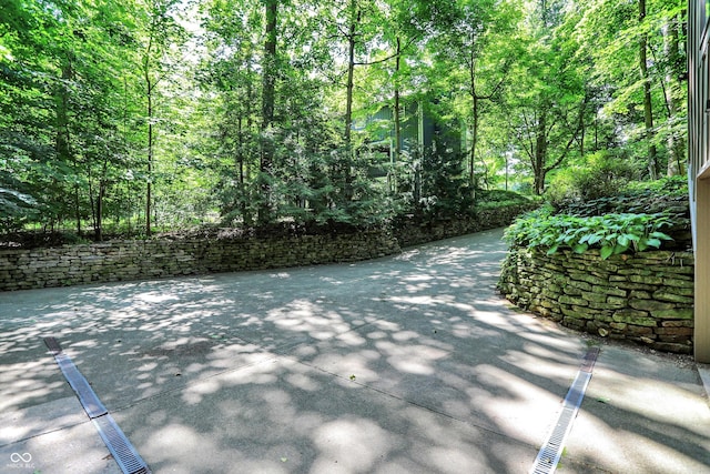 944 Briar Patch Ln, Greenwood, IN 46142 - view of concrete driveway