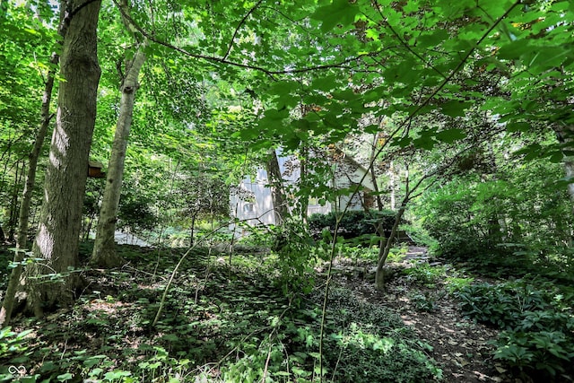944 Briar Patch Ln, Greenwood, IN 46142 - view of woods
