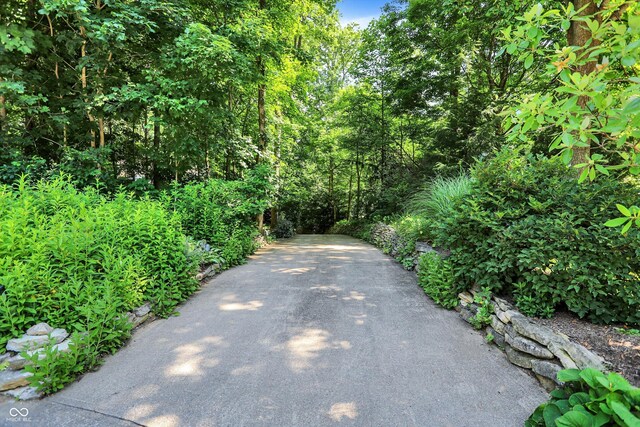 944 Briar Patch Ln, Greenwood, IN 46142 - view of street