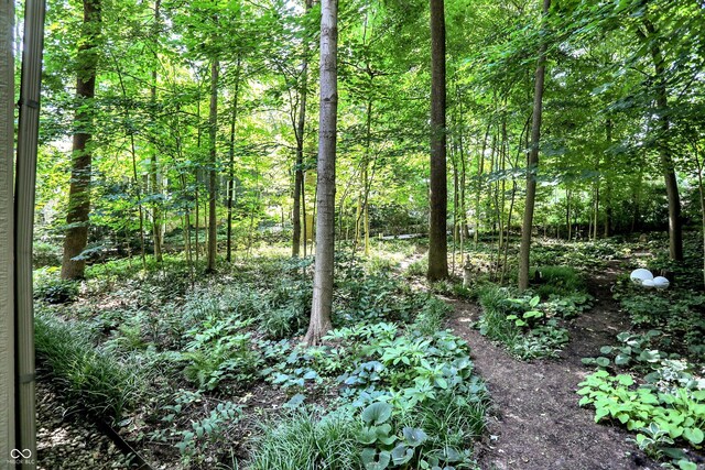 944 Briar Patch Ln, Greenwood, IN 46142 - view of tree filled area