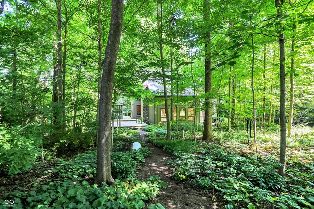 944 Briar Patch Ln, Greenwood, IN 46142 - view of yard with a wooded view