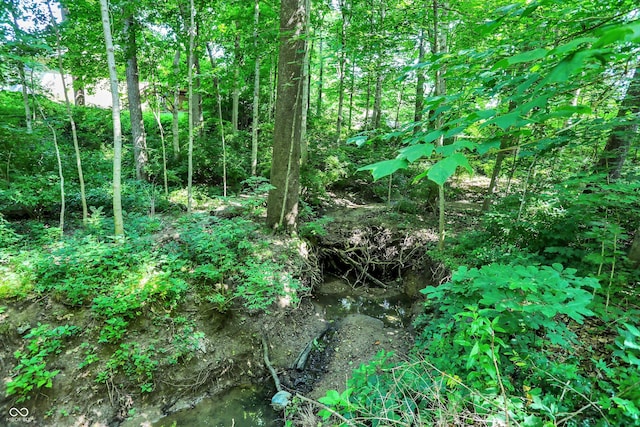 944 Briar Patch Ln, Greenwood, IN 46142 - view of local wilderness