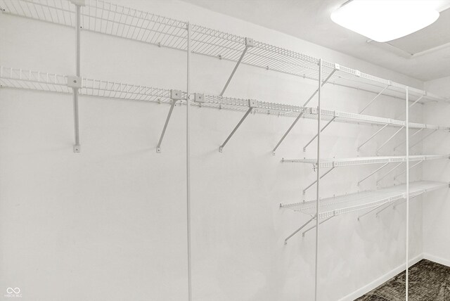 944 Briar Patch Ln, Greenwood, IN 46142 - view of walk in closet
