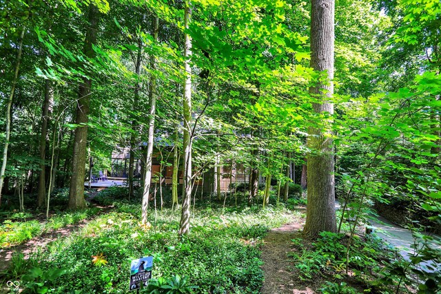 944 Briar Patch Ln, Greenwood, IN 46142 - view of local wilderness