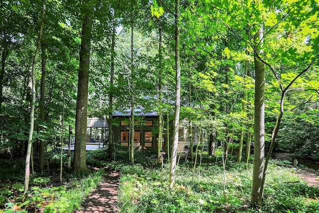 944 Briar Patch Ln, Greenwood, IN 46142 - view of woods
