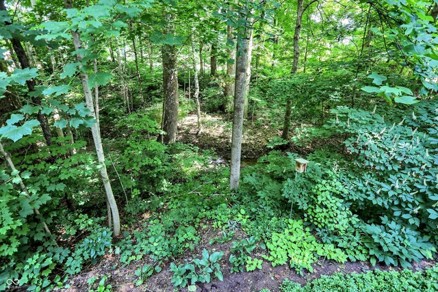 944 Briar Patch Ln, Greenwood, IN 46142 - view of undeveloped land