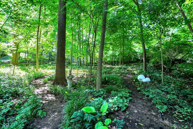 944 Briar Patch Ln, Greenwood, IN 46142 - view of tree filled area