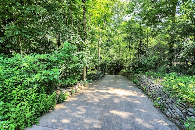 944 Briar Patch Ln, Greenwood, IN 46142 - view of road featuring a forest view