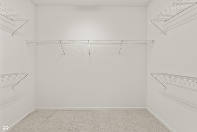 13172 Duval Dr, Fishers, IN 46037 - spacious closet with carpet floors