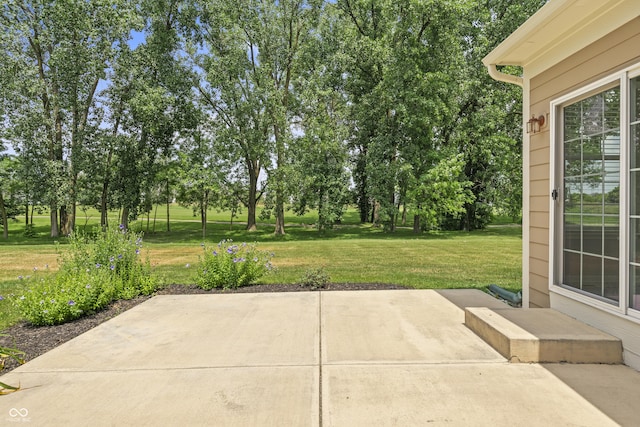 13172 Duval Dr, Fishers, IN 46037 - view of patio / terrace