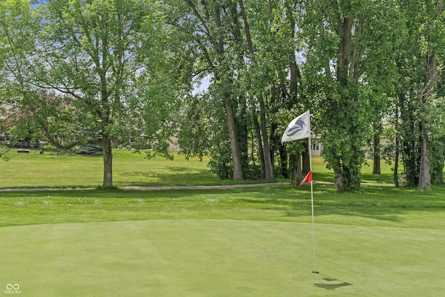 13172 Duval Dr, Fishers, IN 46037 - view of home's community featuring a lawn, view of wooded area, and a putting area