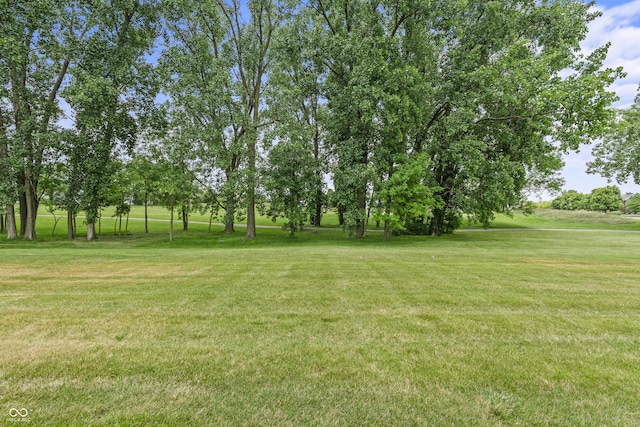 13172 Duval Dr, Fishers, IN 46037 - view of green lawn