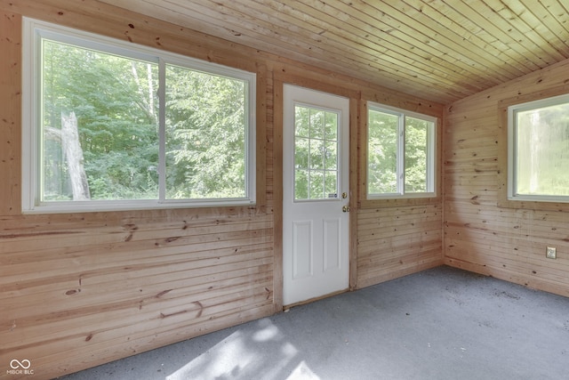 6637 E County Road 600 S, Plainfield, IN 46168 - doorway to outside with plenty of natural light, carpet flooring, wood walls, and lofted ceiling