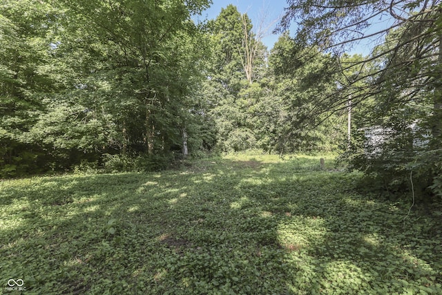 6637 E County Road 600 S, Plainfield, IN 46168 - view of tree filled area