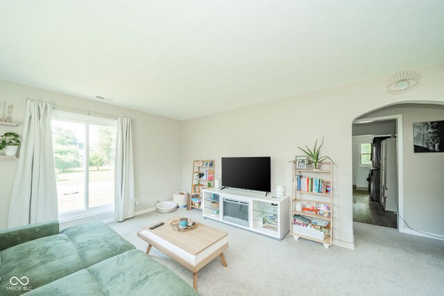 901 N Greenbriar Rd, Muncie, IN 47304 - living room featuring arched walkways and carpet floors