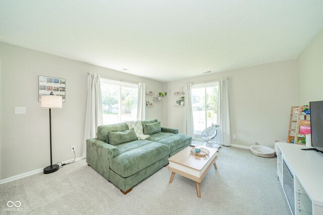 901 N Greenbriar Rd, Muncie, IN 47304 - carpeted living room featuring plenty of natural light