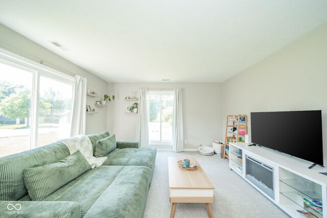 901 N Greenbriar Rd, Muncie, IN 47304 - living room with carpet and baseboards
