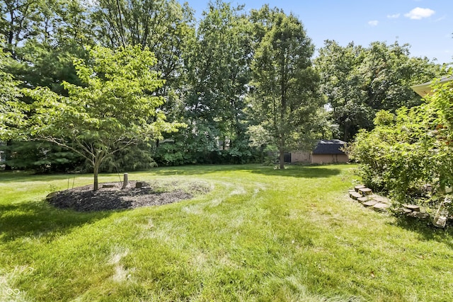 8439 Goldfinch Cir, Indianapolis, IN 46256 - view of green lawn
