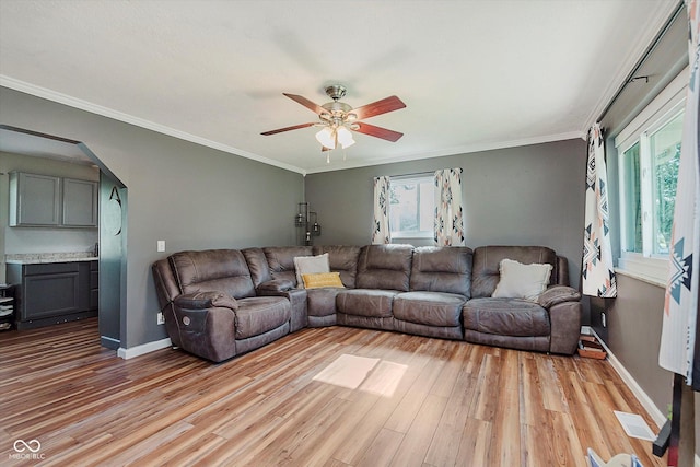 2824 E 150 S, Tipton, IN 46072 - living room featuring healthy amount of natural light, light wood-style floors, ceiling fan, arched walkways, and crown molding