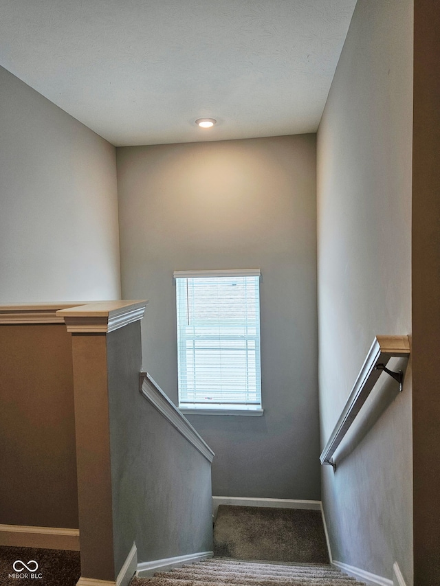 1932 Downey Ln, Greenfield, IN 46140 - photo 28