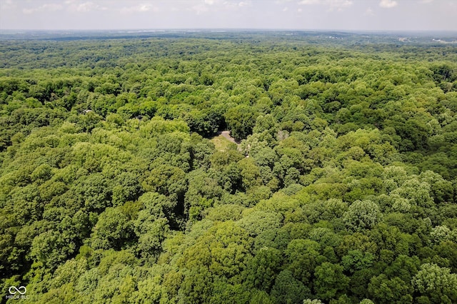 1125 Observatory Rd, Martinsville, IN 46151 - photo 47