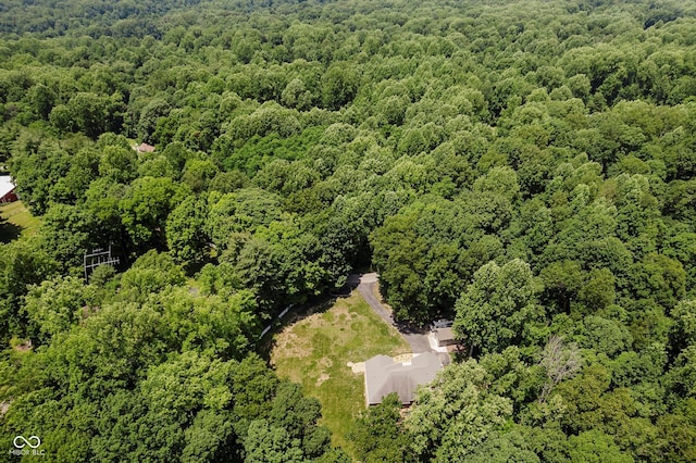 1125 Observatory Rd, Martinsville, IN 46151 - photo 48