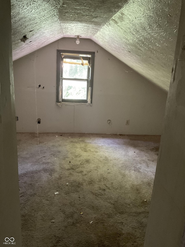 1367 Mulberry St, Noblesville, IN 46060 - bonus room featuring lofted ceiling and carpet floors