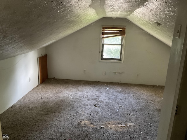 1367 Mulberry St, Noblesville, IN 46060 - bonus room featuring lofted ceiling, a textured ceiling, and carpet floors