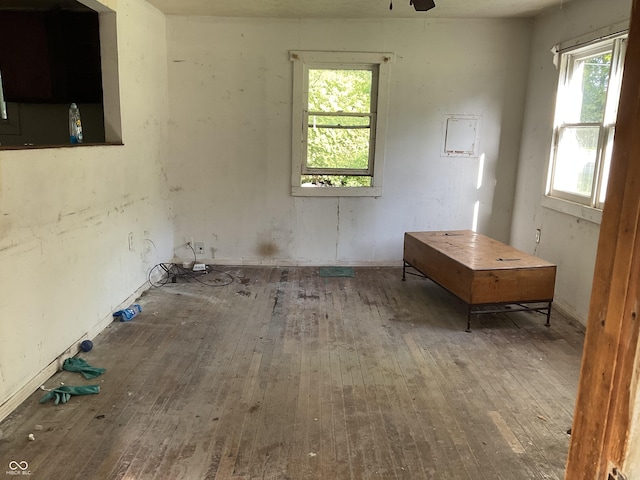 1367 Mulberry St, Noblesville, IN 46060 - empty room featuring hardwood / wood-style floors and ceiling fan