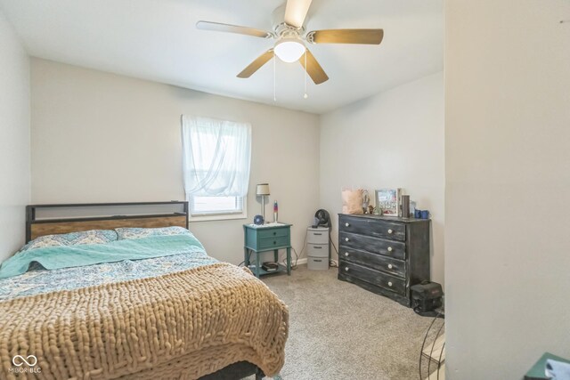 4687 N Shore Dr, Unionville, IN 47468 - photo 10