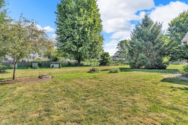 6686 Woodcrest Dr, Avon, IN 46123 - photo 53