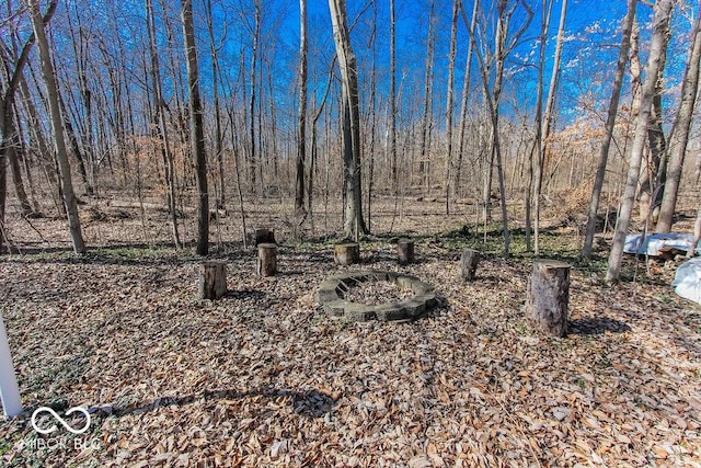 3948 S Woodfield Dr, New Palestine, IN 46163 - view of yard