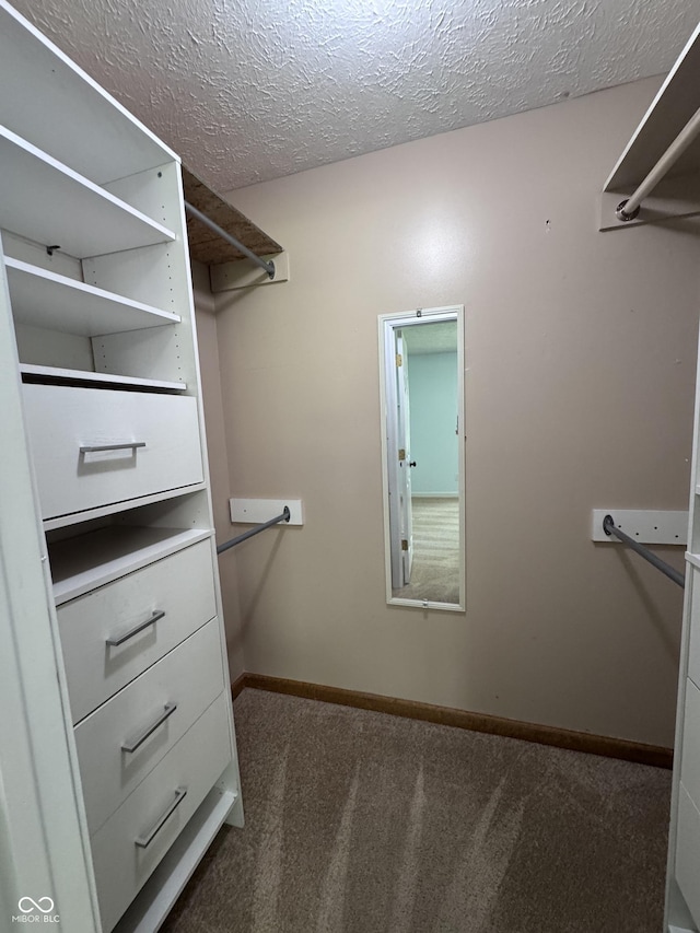 1206 Brownswood Dr, Brownsburg, IN 46112 - spacious closet featuring carpet