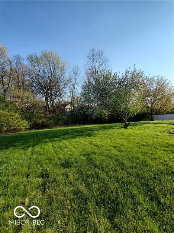 5851 Brobeck Ln, Indianapolis, IN 46254 - photo 8