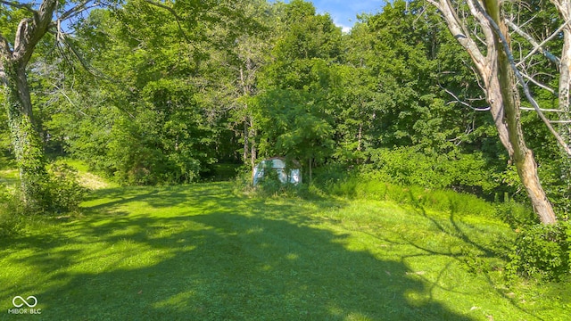 3370 E State Road 160, Salem, IN 47167 - view of grassy yard featuring a view of trees
