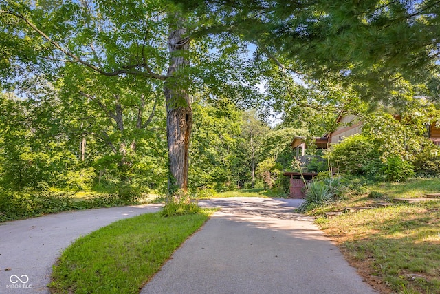 3370 E State Road 160, Salem, IN 47167 - view of home's community with asphalt driveway and a wooded view