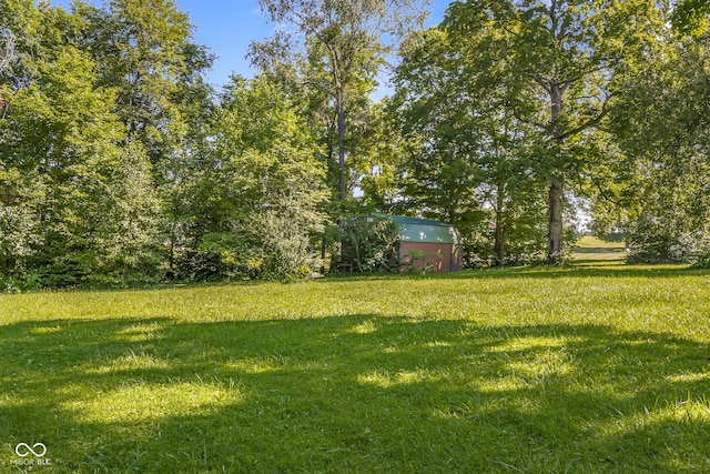 3370 E State Road 160, Salem, IN 47167 - view of green lawn