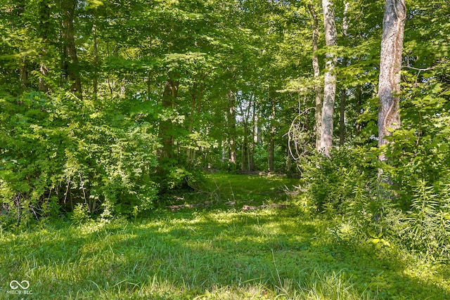 3370 E State Road 160, Salem, IN 47167 - view of tree filled area