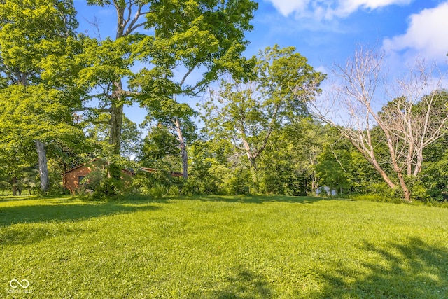 3370 E State Road 160, Salem, IN 47167 - view of grassy yard